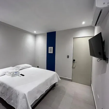 Loft 33-2